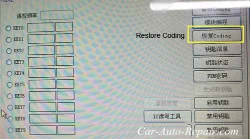 BMW FEM BDC Remote Key Program Guide (12)