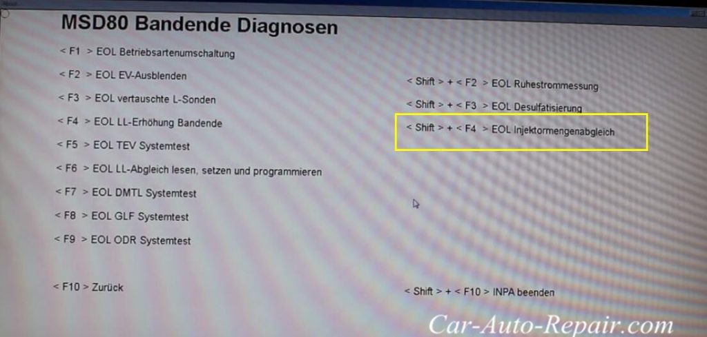 BMW INPA Coding For BMW E90 N54 Engine Injector (5)