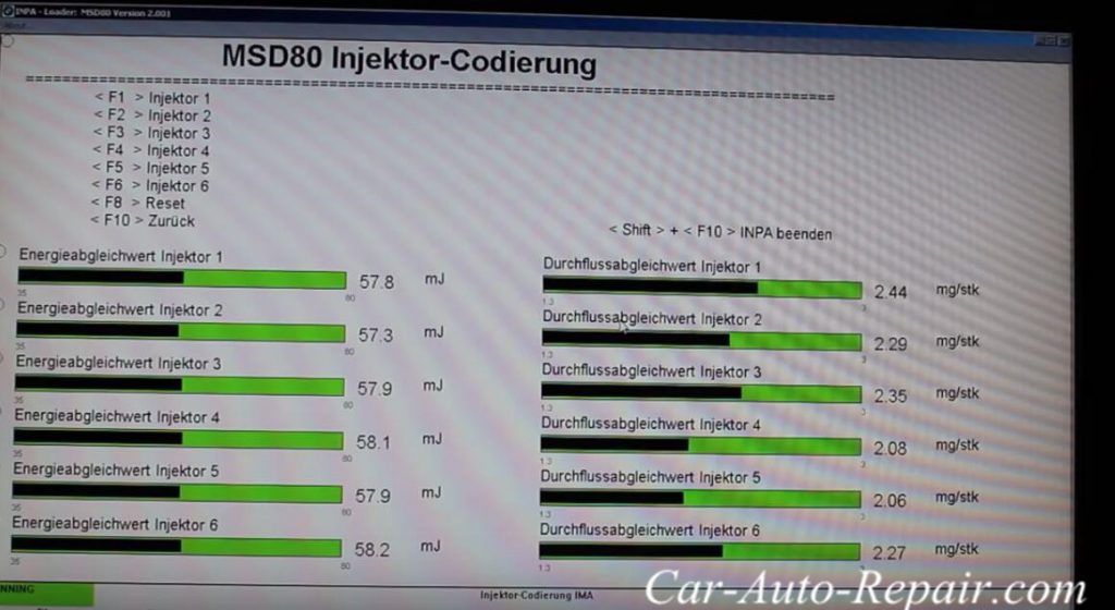 BMW INPA Coding For BMW E90 N54 Engine Injector (5)