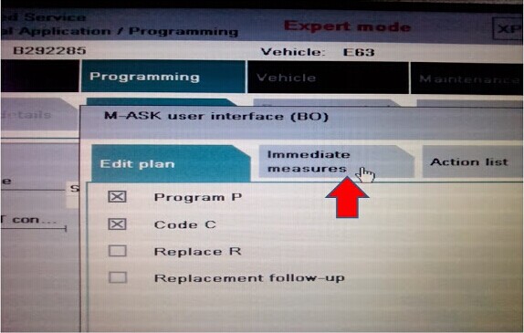 How to Configure Expert Mode for BMW Rheingold ISTA-DISTA-P (8)