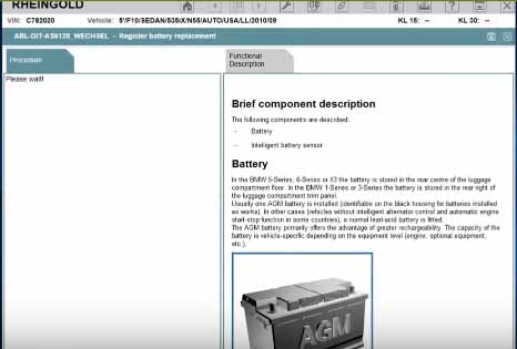 Rheingold ISTA Register New Battery for BMW F10 (4)