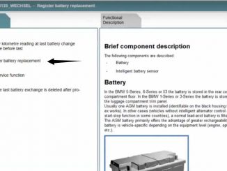 Rheingold ISTA Register New Battery for BMW F10 (5)
