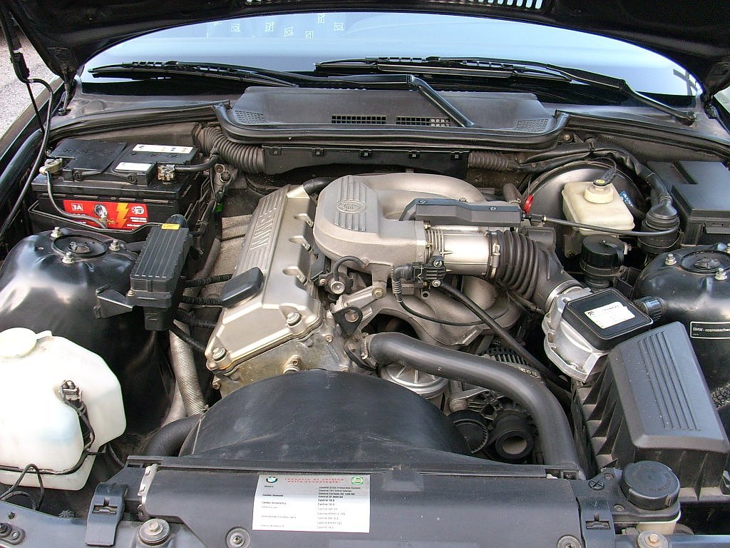 BMW INPA Diagnose BMW E36 Engine Module (1)
