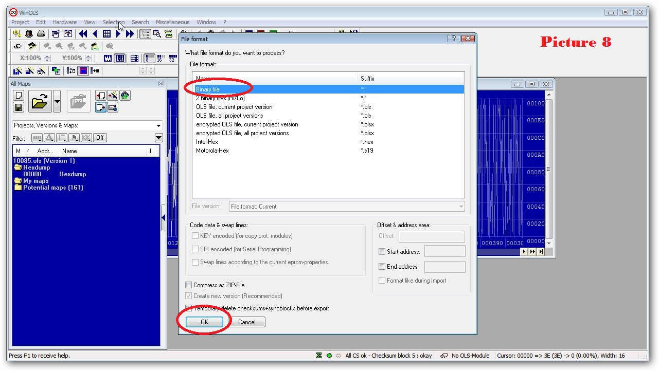 How to Make Checksums for ECU Files with WinOLS (10)