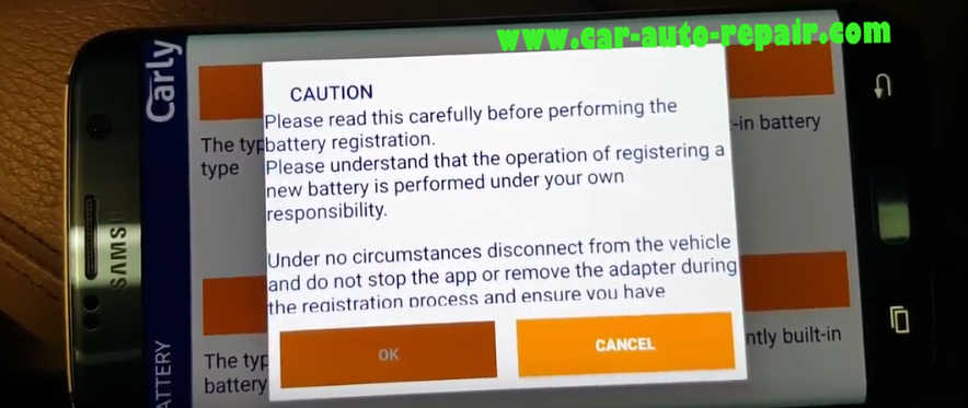 Carly BMW Register Battery for BMW F10 535i 2011 (13)