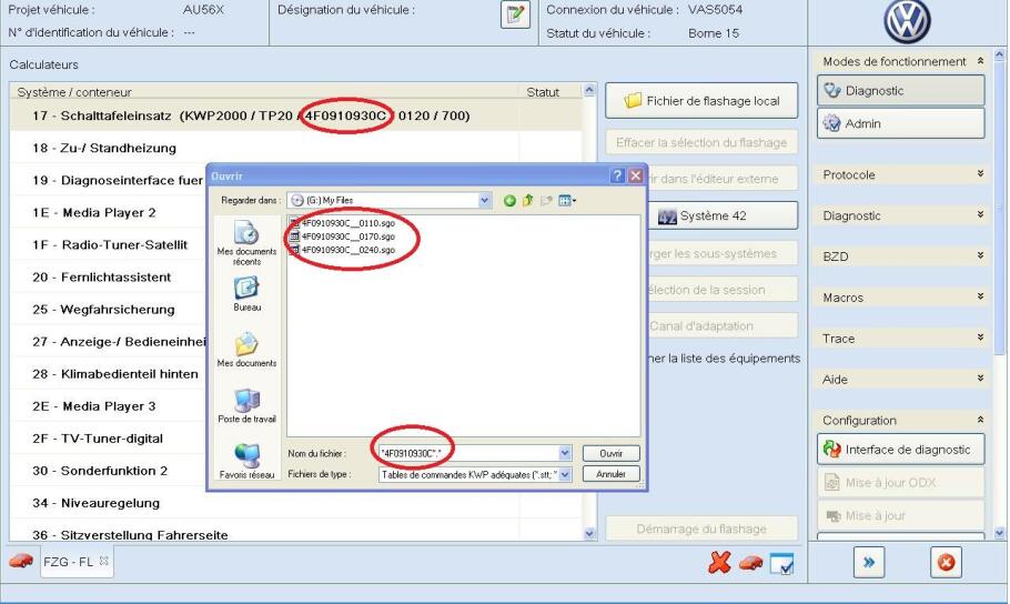 How-to-Flash-Volkswagen-ASAM-AU56-by-ODIS-Engineering-4