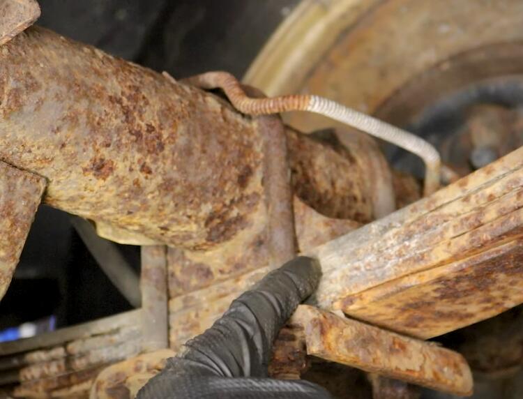 How-to-Inspect-Leaf-Spring-Suspensions-for-Dodge-Pickup-Truck-6