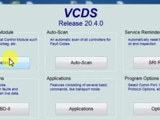 How-to-Do-Adapt-Service-Oil-and-Inspection-by-VCDS-for-VWSEATSKODA-and-AUDI-1
