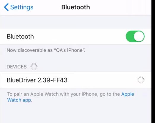 How-to-Setup-Blue-Driver-for-iOSiPhone-iPad-iPod-touch-9