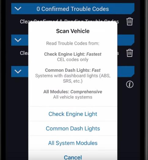 How-to-Read-Trouble-CodesDTCs-via-BlueDriver-2