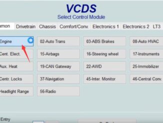 VAG-VW-EGR-Delete-by-VCDS-Adaptation-2