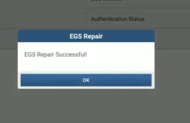 BMW-FG-Chassis-8HP-EGS-ISN-Refresh-by-Launch-X431-15
