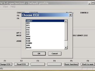 BMW E60 Coding by INPA and NCS Expert Cable (8)