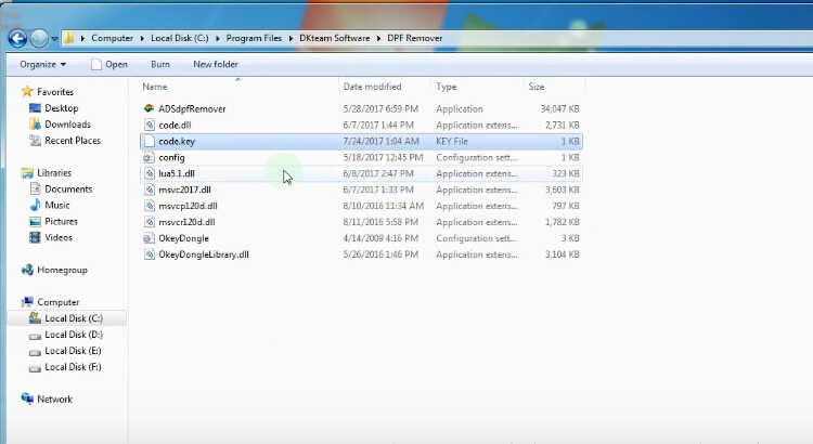 DPF EGR Lambda Remover Software Download (9)