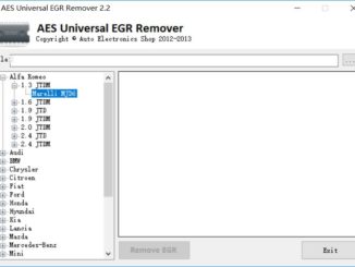 AES Universal EGR Remover