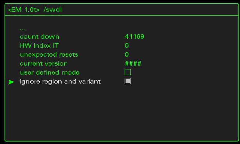 How to Perform Audi MMI Emergency Update and Region Change (2)