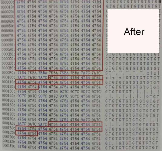 Toyota RAV4 G Chip All Key Lost Programming (5)