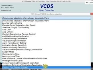 VCDS-Coding-for-Skoda-Octavia-Confort-Turn-Signal-4