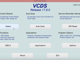 How-to-Check-Engine-Advanced-Measuring-Value-via-VCDS-on-Skoda-Fabia-2018-1