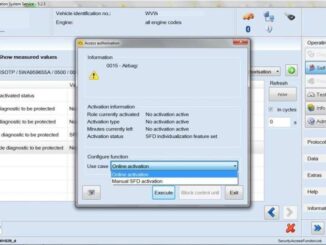 How-to-Unlock-Procedure-for-SFD-Vehicle-Diagnostic-Protection-8