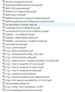 Bmw coding parameters