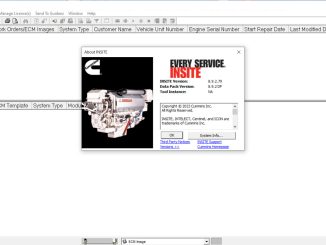 Cummings INSITE 8.9.2